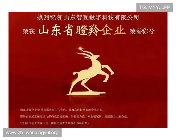 问鼎数字站引领行业新风尚，打造最具影响力的数字内容平台